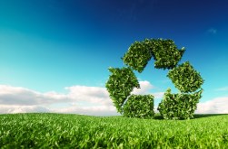 Avoiding Common Mistakes: Top Recycling Best Practices to Remember